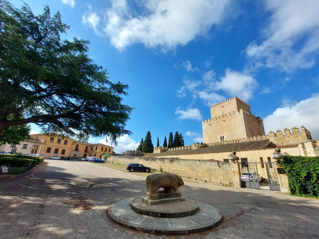 Verraco y castillo en Ciudad Rodrigo