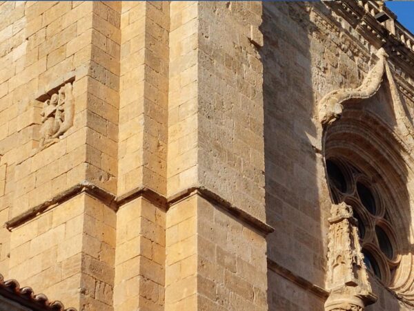 Visita guiada de leyendas y curiosidades. Ciudad Rodrigo. Oso de la catedral