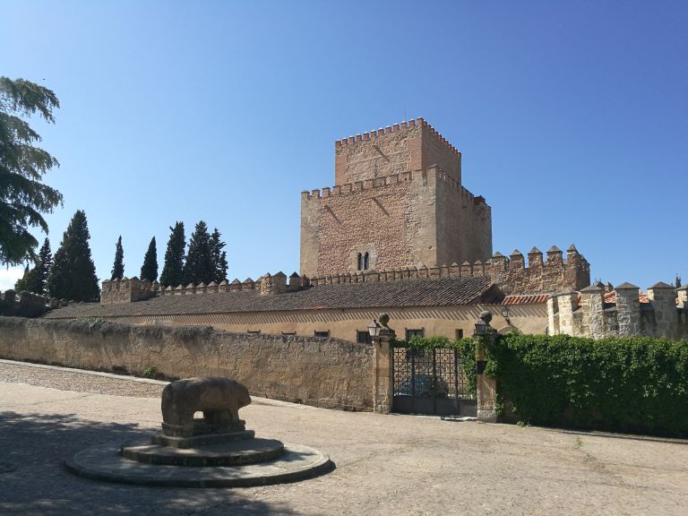 Castillo y verraco vetón, Ciudad Rodrigo